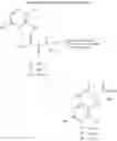 Fig. 16 - Substituted imidazo[1,2-a]pyrazines as luciferase substrates