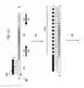 Fig. 17 - Multiplex amplification methods