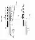 Fig. 25 - Multiplex amplification methods