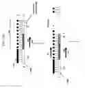 Fig. 30 - Multiplex amplification methods