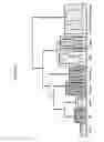 Fig. 28 - METHODS AND SYSTEMS FOR PHYLOGENETIC ANALYSIS