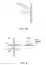 Fig. 06 - Distinguishing rare variations in a nucleic acid sequence from a sample