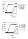 Fig. 04 - Ligase-assisted nucleic acid circularization and amplification