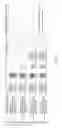 Fig. 07 - DUPLEX ADAPTERS AND DUPLEX SEQUENCING