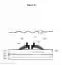 Fig. 02 - Nanopore based molecular detection and sequencing