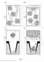 Fig. 05 - Loading molecules into sample wells for analysis