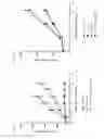 Fig. 12 - IDENTIFICATION OF PREDICTIVE BIOMARKERS ASSOCIATED WITH WNT PATHWAY INHIBITORS