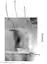 Fig. 07 - Method for recovering target materials from source materials