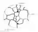 Fig. 01 - Machine component made of ferrous sintered metal