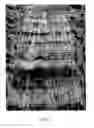 Fig. 06 - Automatically color mix dyeing process