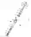 Fig. 06 - Hold open rod assembly