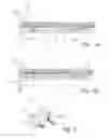 Fig. 04 - Soft closing damper fitting for a sliding door and associated mounting method