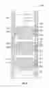 Fig. 08 - Direct current power source with reduced link capacitance for downhole applications