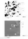 Fig. 06 - Method for evaluation of fluid transport properties in heterogenous geological formation