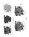 Fig. 07 - Method for evaluation of fluid transport properties in heterogenous geological formation