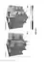 Fig. 10 - Method for evaluation of fluid transport properties in heterogenous geological formation