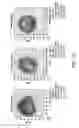Fig. 09 - Detection and quantification of proppant for optimized fracture treatment design in in-fill and new wells