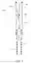 Fig. 02 - Inverted Y-tool for downhole gas separation