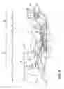 Fig. 02 - TURBINE ENGINE SHROUD WITH NEAR WALL COOLING