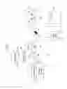 Fig. 02 - Exhaust purifying device and working vehicle