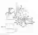 Fig. 01 - Multi-fuel rail apparatus