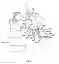 Fig. 04 - Multi-fuel rail apparatus
