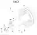 Fig. 06 - Reciprocating compressor
