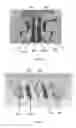Fig. 07 - Compressor blade locking mechanism in disk with tangential groove