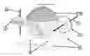 Fig. 01 - Gimbal system using grooved rotatable ball, orthogonally oriented gears, and socket casing