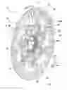 Fig. 02 - Brake disc for a bicycle