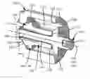 Fig. 01 - Brake piston