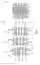 Fig. 02 - Plate link chain with plates in groups of three