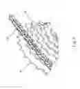 Fig. 04 - Bicycle chain