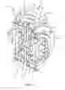 Fig. 06 - Continuously variable transmission ring driving mechanism