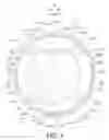 Fig. 02 - Bicycle sprocket