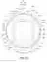 Fig. 25 - Bicycle sprocket