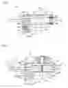Fig. 05 - Control mechanism for stepless transmission