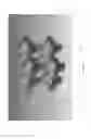 Fig. 10 - Pressure vessel having an internal support structure