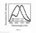 Fig. 07 - Authentication of quantum dot security inks