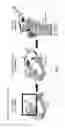 Fig. 02 - Methods for measuring small molecule affinity to cereblon