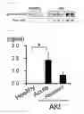 Fig. 02 - Method for examining renal disease