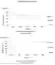Fig. 06 - Method and system for interaction analysis