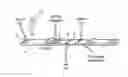 Fig. 01 - Sensor integration in lateral flow immunoassays and its applications