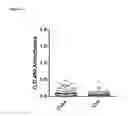 Fig. 05 - Methods for detecting novel autoantibodies in Crohn's disease