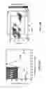Fig. 28 - COMPRESSED-SENSING ULTRAFAST PHOTOGRAPHY (CUP)