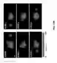 Fig. 30 - COMPRESSED-SENSING ULTRAFAST PHOTOGRAPHY (CUP)