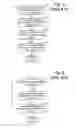 Fig. 09 - SYSTEM AND METHOD PRESENTING HOLOGRAPHIC PLANT GROWTH