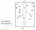 Fig. 01 - ECU, autonomous vehicle including ECU, and method of determining driving lane for the same