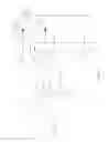 Fig. 11 - Gaze and smooth pursuit based continuous foveal adjustment