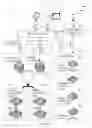 Fig. 02 - NETWORK-BASED GRAPHICAL COMMUNICATION SYSTEM